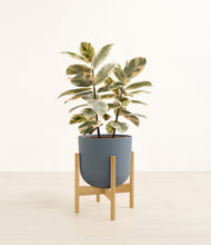 Load image into Gallery viewer, Iron Gray stand:bamboo