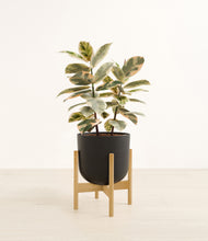 Load image into Gallery viewer, Stone Black stand:bamboo