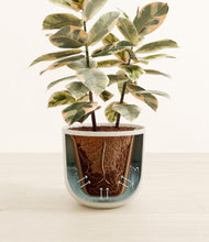 Load image into Gallery viewer, Natural Bamboo stand:all