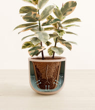 Load image into Gallery viewer, Sandy Pink stand:all