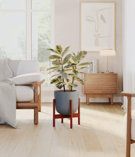 Load image into Gallery viewer, Iron Gray stand:walnut