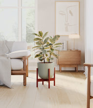 Load image into Gallery viewer, Sage Green stand:walnut