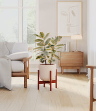 Load image into Gallery viewer, Sandy Pink stand:walnut