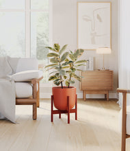 Load image into Gallery viewer, Earth Red stand:walnut