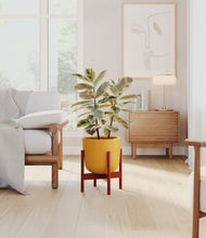 Load image into Gallery viewer, Sunset Orange stand:walnut