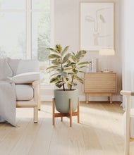 Load image into Gallery viewer, Sage Green stand:bamboo