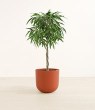 Load image into Gallery viewer, Earth Red*****Profile