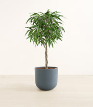 Load image into Gallery viewer, Iron Gray*****Profile