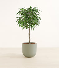 Load image into Gallery viewer, Sage Green*****Profile