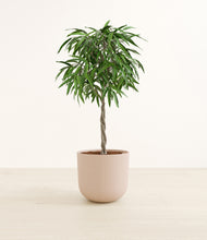 Load image into Gallery viewer, Sandy Pink*****Profile