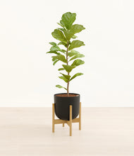 Load image into Gallery viewer, Stone Black stand:bamboo