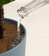 Load image into Gallery viewer, Coastal Breeze