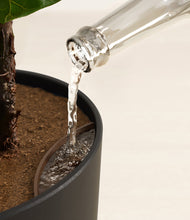 Load image into Gallery viewer, Hazy Skies