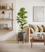 Load image into Gallery viewer, Iron Gray stand:walnut