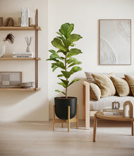 Load image into Gallery viewer, Stone Black stand:bamboo