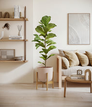 Load image into Gallery viewer, Sandy Pink stand:bamboo