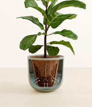 Load image into Gallery viewer, Sage Green stand:all