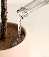 Load image into Gallery viewer, Gentle Pink stand:all