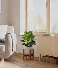 Load image into Gallery viewer, Eternal Gray stand:walnut