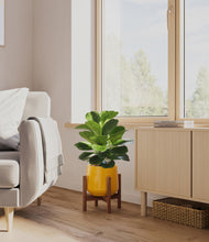 Load image into Gallery viewer, Mustard stand:walnut