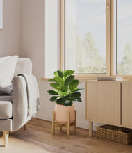 Load image into Gallery viewer, Gentle Pink stand:bamboo