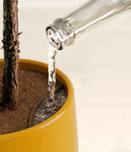 Load image into Gallery viewer, Mustard stand:all