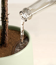 Load image into Gallery viewer, Turquoise stand:all