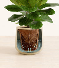 Load image into Gallery viewer, Almond Green stand:all