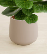 Load image into Gallery viewer, Eternal Gray stand:all