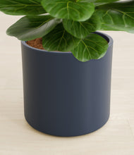 Load image into Gallery viewer, Deep Navy stand:all