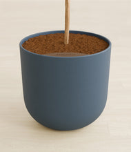 Load image into Gallery viewer, Iron Gray stand:all