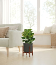 Load image into Gallery viewer, Dark Olive stand:walnut