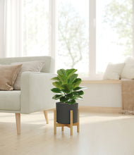 Load image into Gallery viewer, Dark Olive stand:bamboo