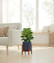 Load image into Gallery viewer, Deep Navy stand:walnut