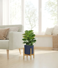 Load image into Gallery viewer, Deep Navy stand:bamboo