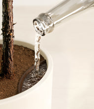 Load image into Gallery viewer, Cream stand:all