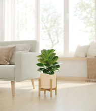 Load image into Gallery viewer, Cream stand:bamboo