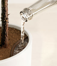 Load image into Gallery viewer, White stand:all