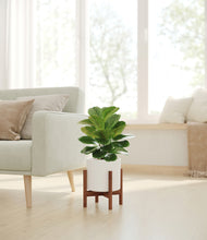 Load image into Gallery viewer, White stand:walnut