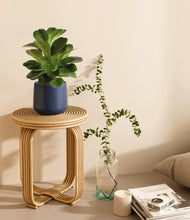 Load image into Gallery viewer, Deep Navy