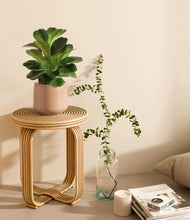 Load image into Gallery viewer, Eternal Gray