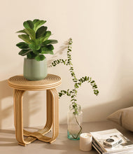 Load image into Gallery viewer, Gentle Pink