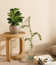 Load image into Gallery viewer, Desert Brown