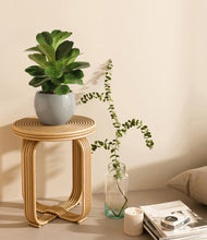 Load image into Gallery viewer, Deep Ocean