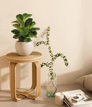 Load image into Gallery viewer, Shiny EggWhite