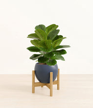 Load image into Gallery viewer, Deep Navy stand:bamboo