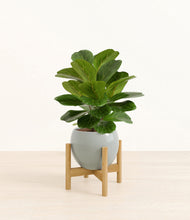 Load image into Gallery viewer, Deep Ocean stand:bamboo