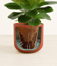 Load image into Gallery viewer, Earth Red