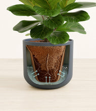 Load image into Gallery viewer, Iron Gray