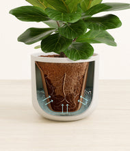 Load image into Gallery viewer, Natural Bamboo